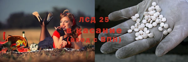 сатива Нефтекумск