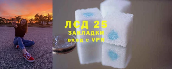 сатива Нефтекумск