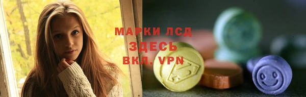 сатива Нефтекумск