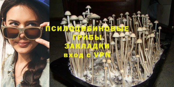 каннабис Аркадак