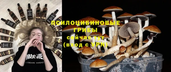 сатива Нефтекумск