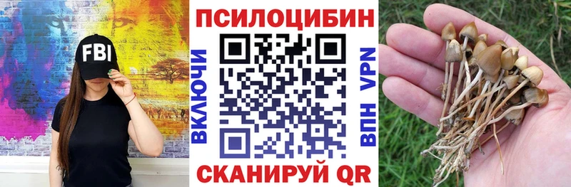 цена   Нестеровская  Псилоцибиновые грибы ЛСД 